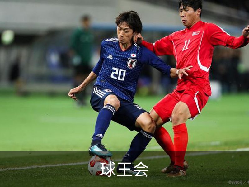 球王会概况